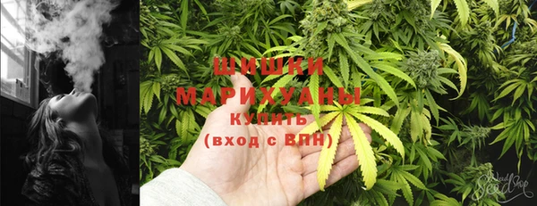 PSILOCYBIN Балабаново