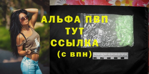 PSILOCYBIN Балабаново