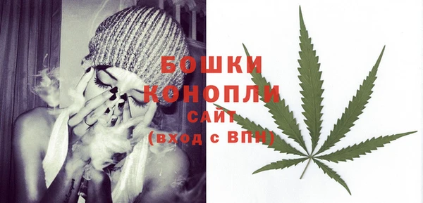 PSILOCYBIN Балабаново